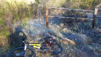 20161219%20080141%20Frost%20in%20San%20Diego%20%28on%20my%20commute%29.jpg